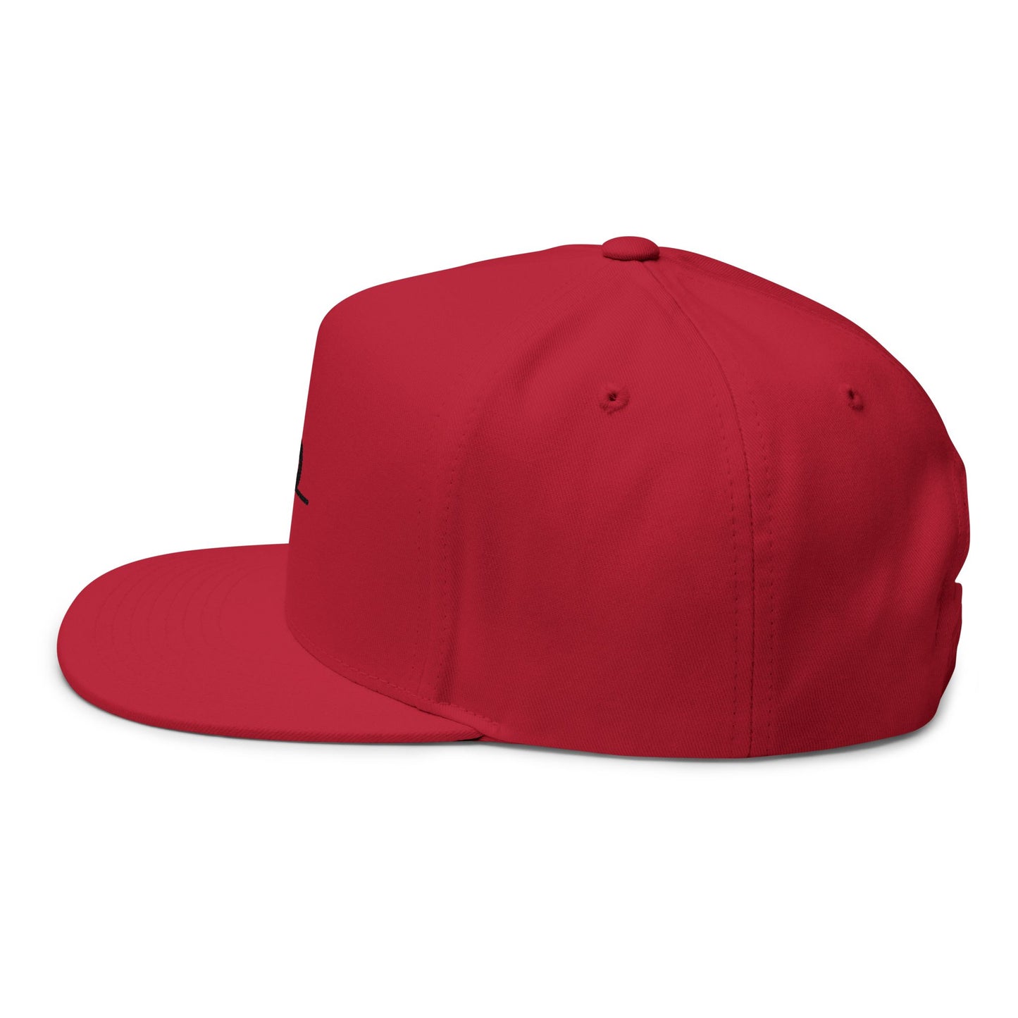 Original Break Past Flat Brimmed Snapback Hat