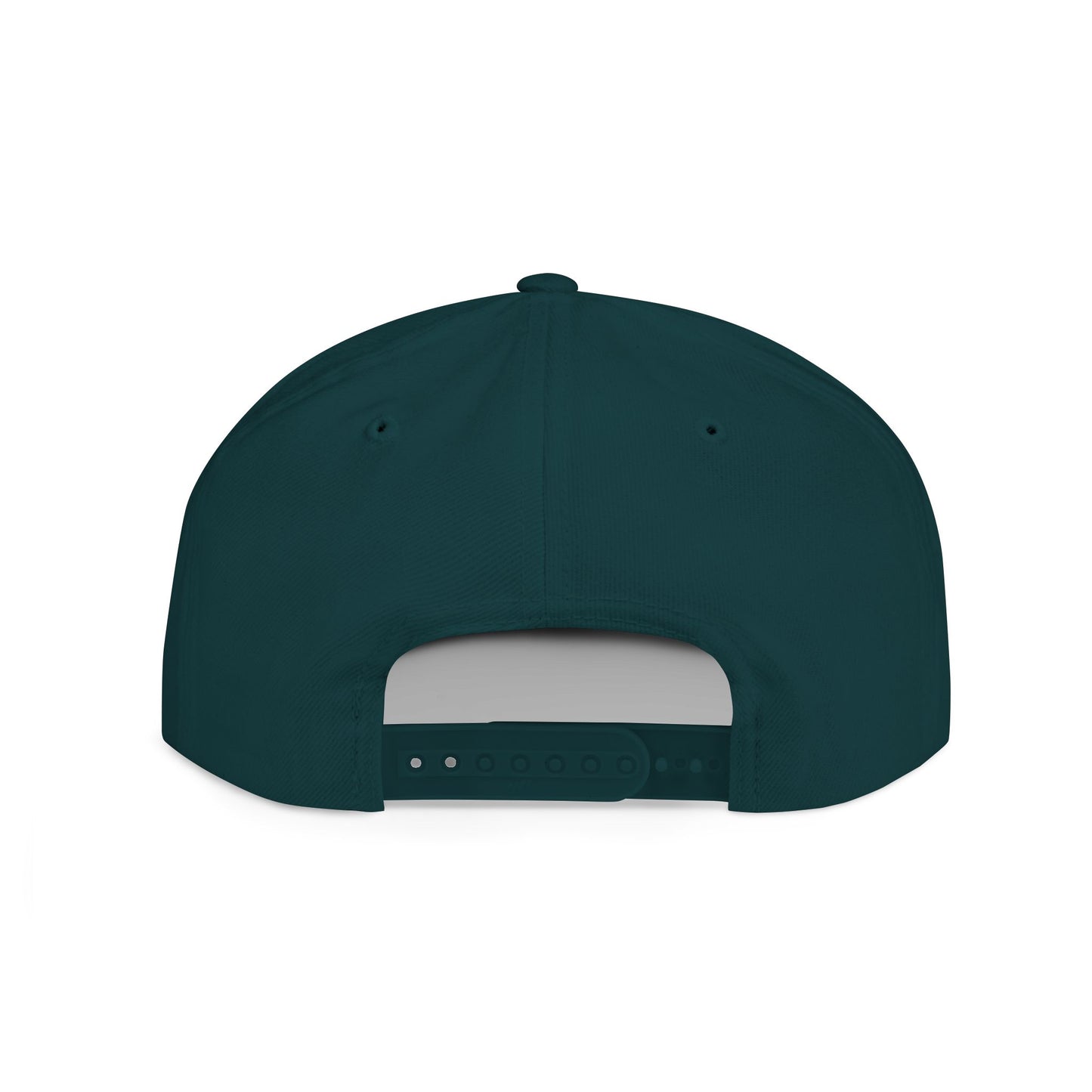 Original Break Past Flat brimmed hat