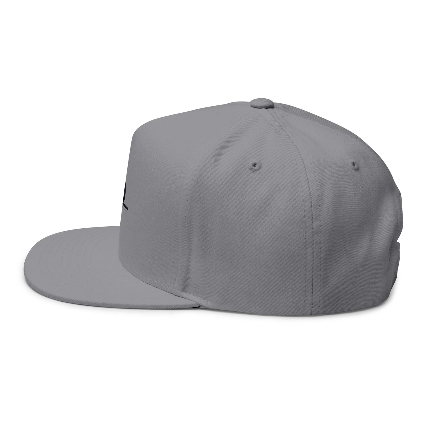 Original Break Past Flat Brimmed Snapback Hat