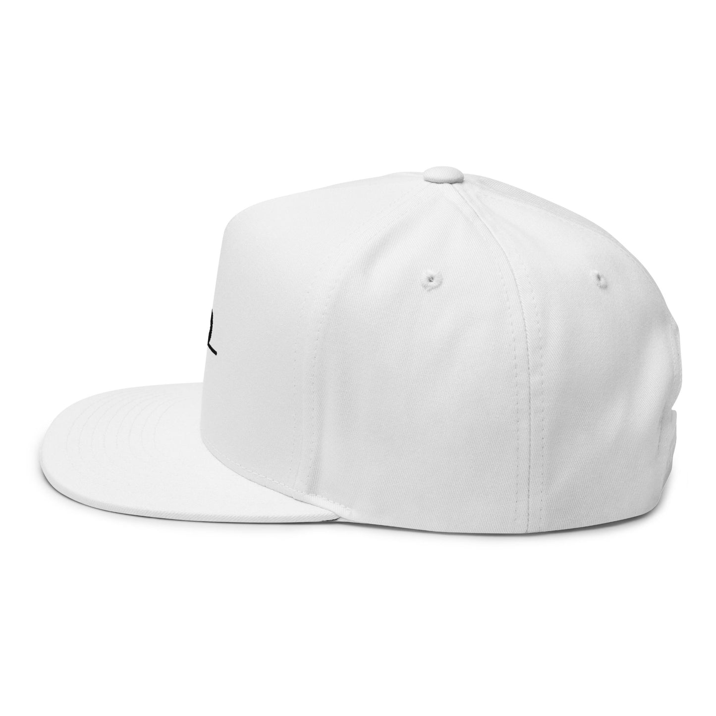 Original Break Past Flat Brimmed Snapback Hat