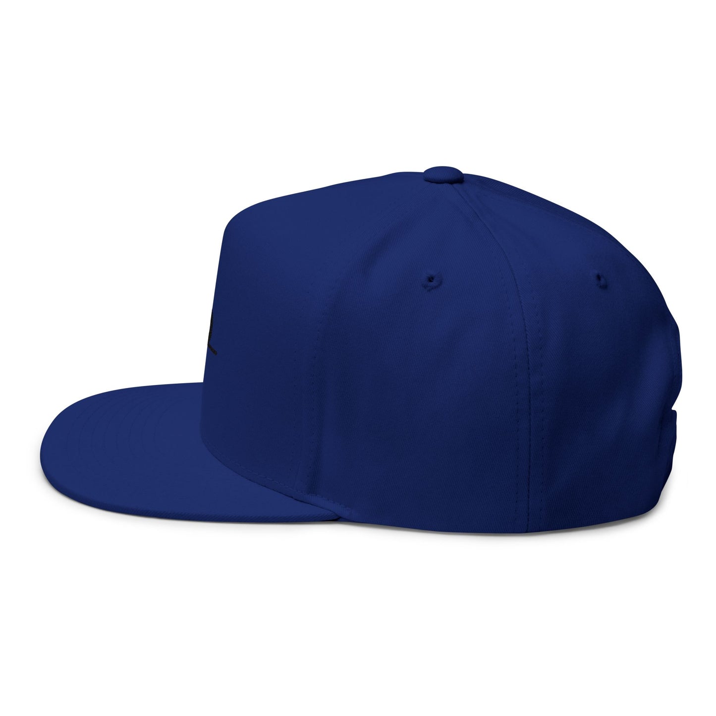 Original Break Past Flat Brimmed Snapback Hat