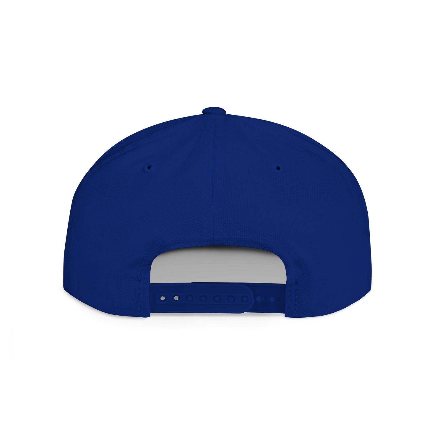 Original Break Past Flat brimmed hat