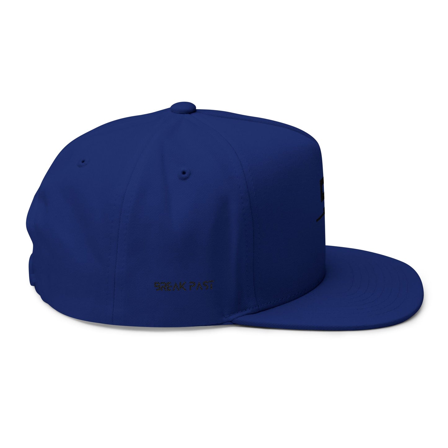 Original Break Past Flat Brimmed Snapback Hat