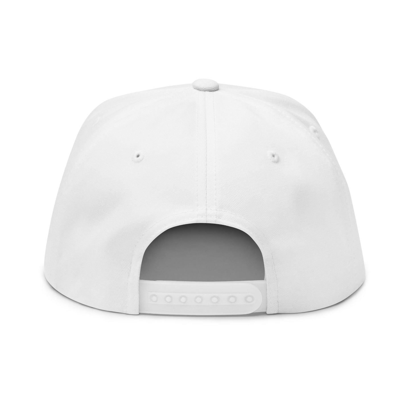 Original Break Past Flat Brimmed Snapback Hat